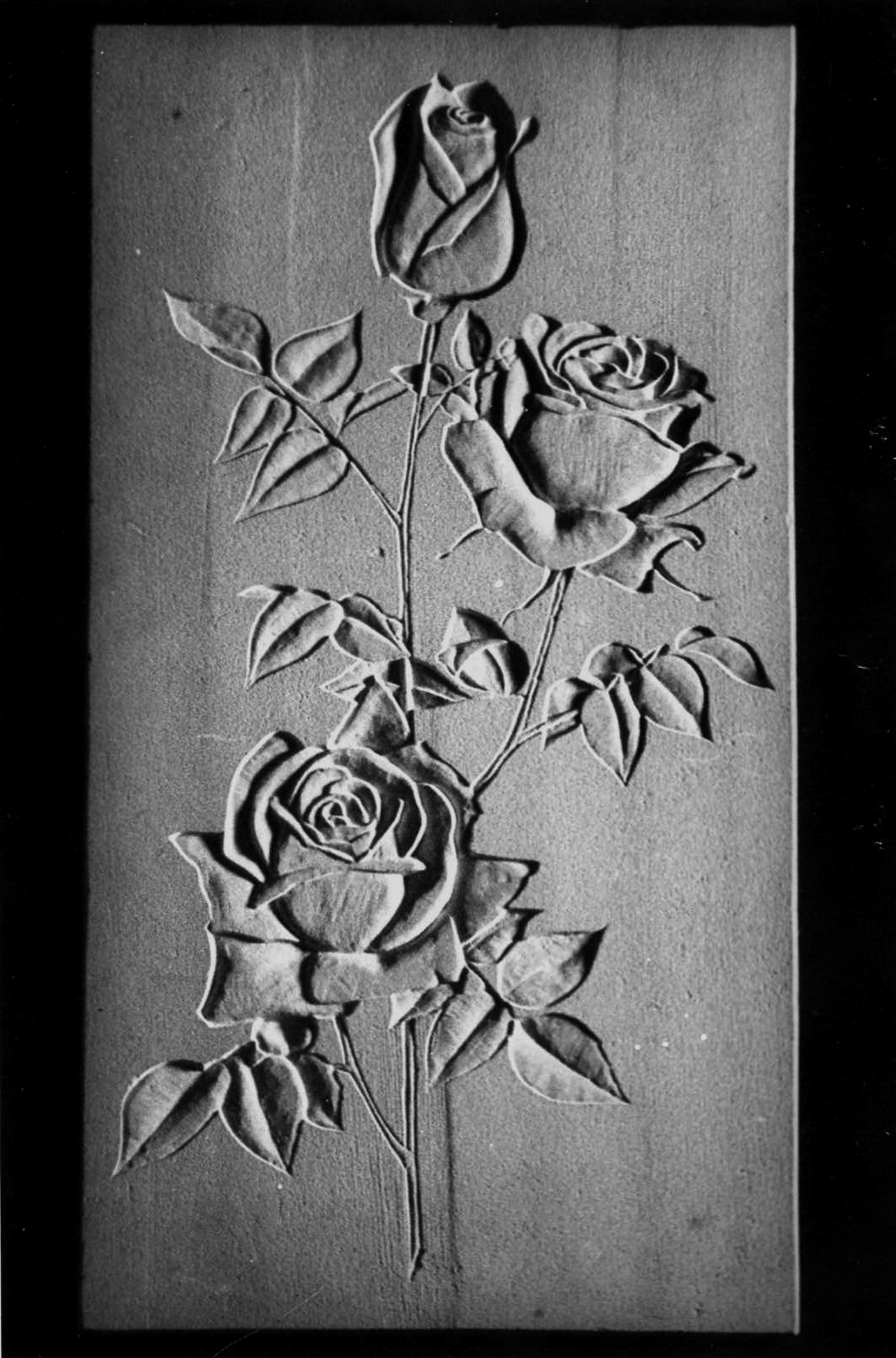 Roses gravées à l'égyptienne – Pierre de Tavel – 48 x 26,5 cm